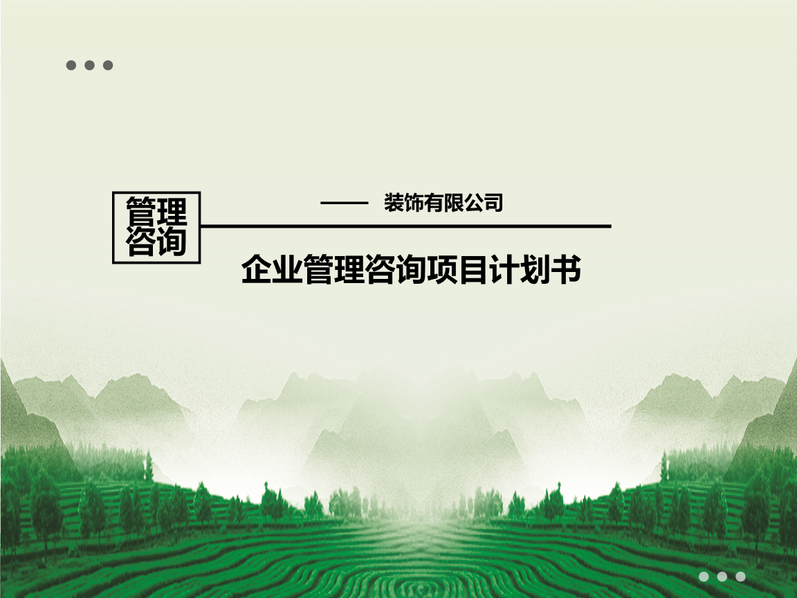 企业管理询项目计划书.ppt